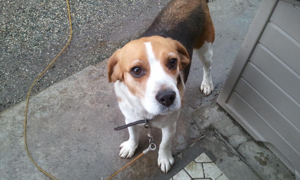 2012-04-14 16.17.48.jpg